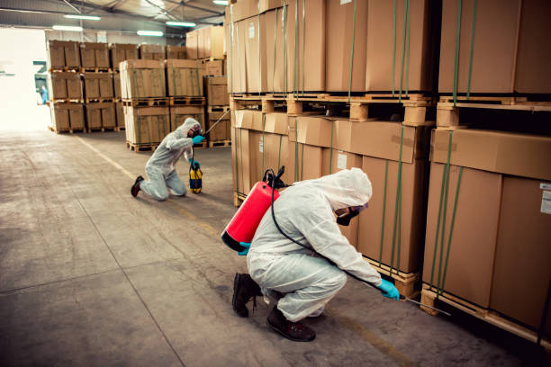 Best Wasp Removal Services  in Lyles, TN