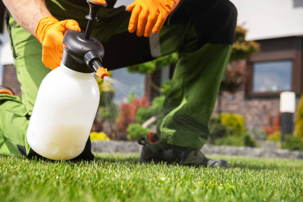 Pest Prevention Services in Lyles, TN