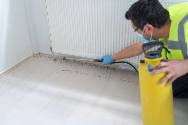 Best Exterminator Services  in Lyles, TN