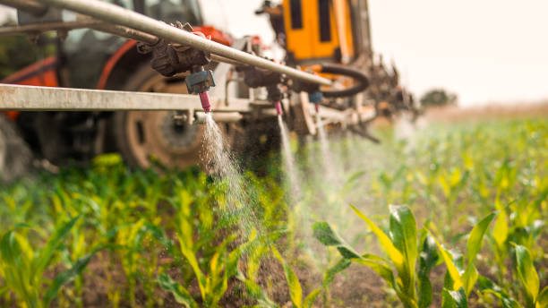 Professional Pest Control in Lyles, TN